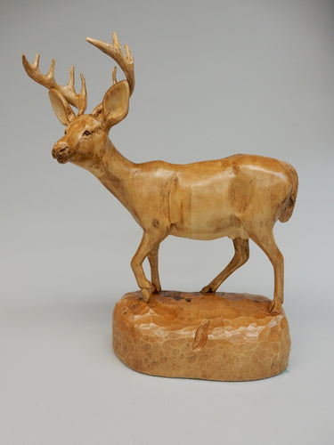 White Tail Deer