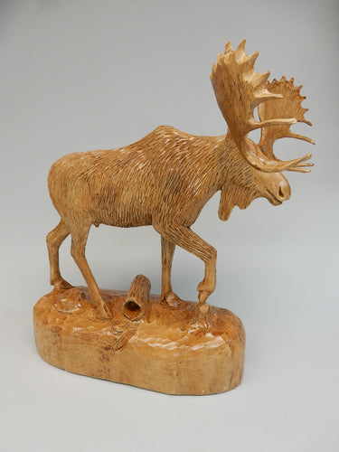 Moose
