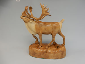 Caribou
