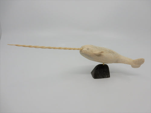 Narwhal