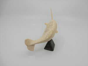 Narwhal