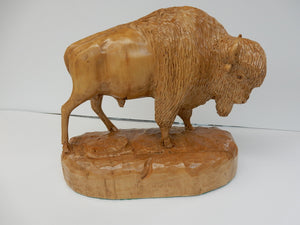 Bison