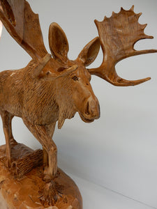 Moose