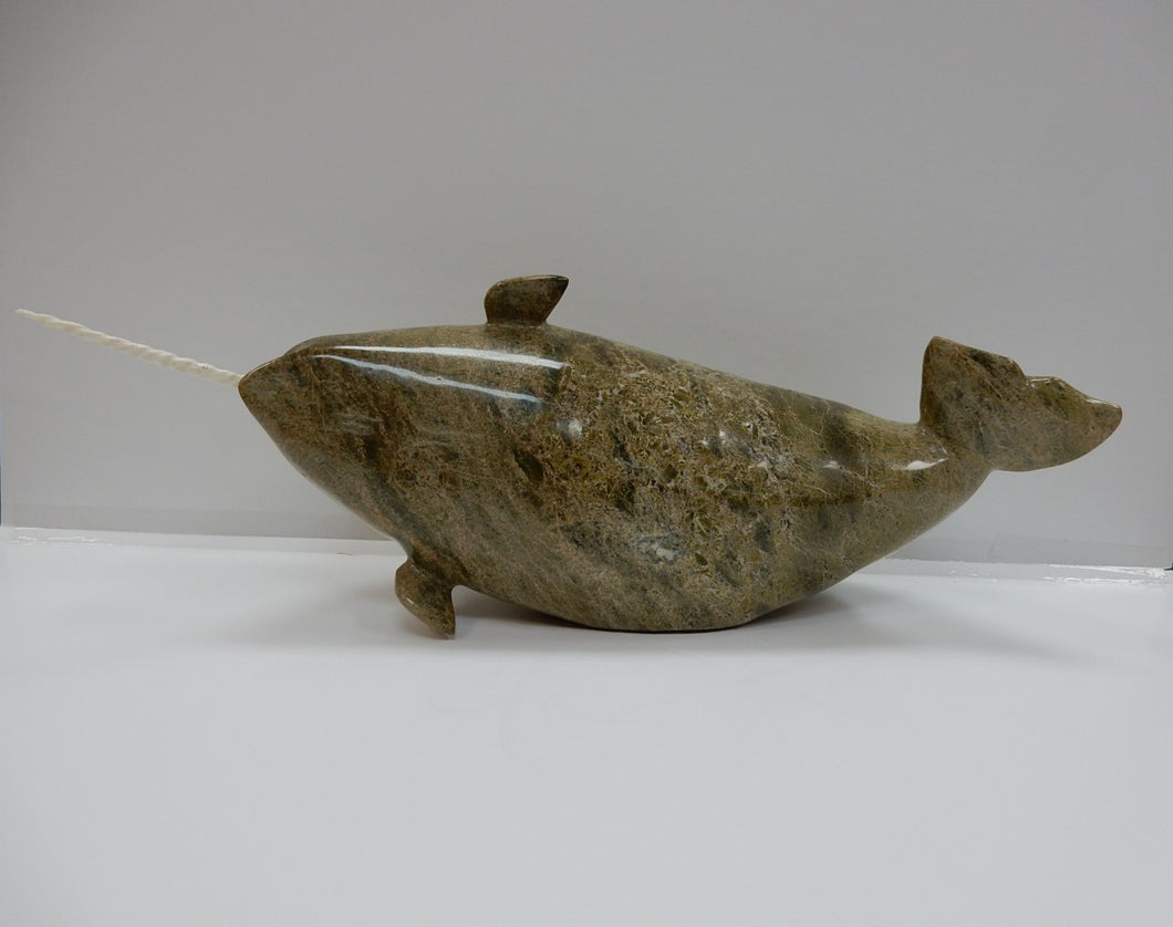 Narwhal