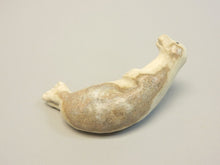 Load image into Gallery viewer, Seal