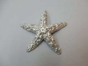 Pewter Star Fish