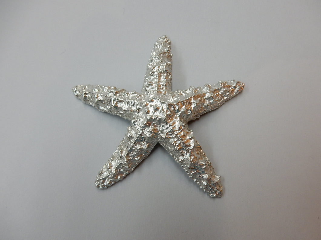 Pewter Star Fish