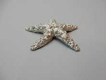 Load image into Gallery viewer, Pewter Star Fish