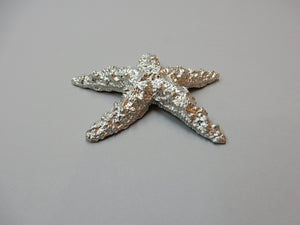 Pewter Star Fish