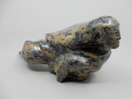 Sedna