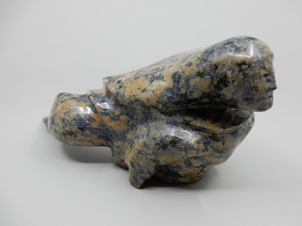 Sedna