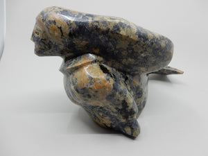 Sedna