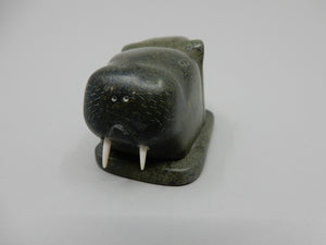 Bear and Walrus