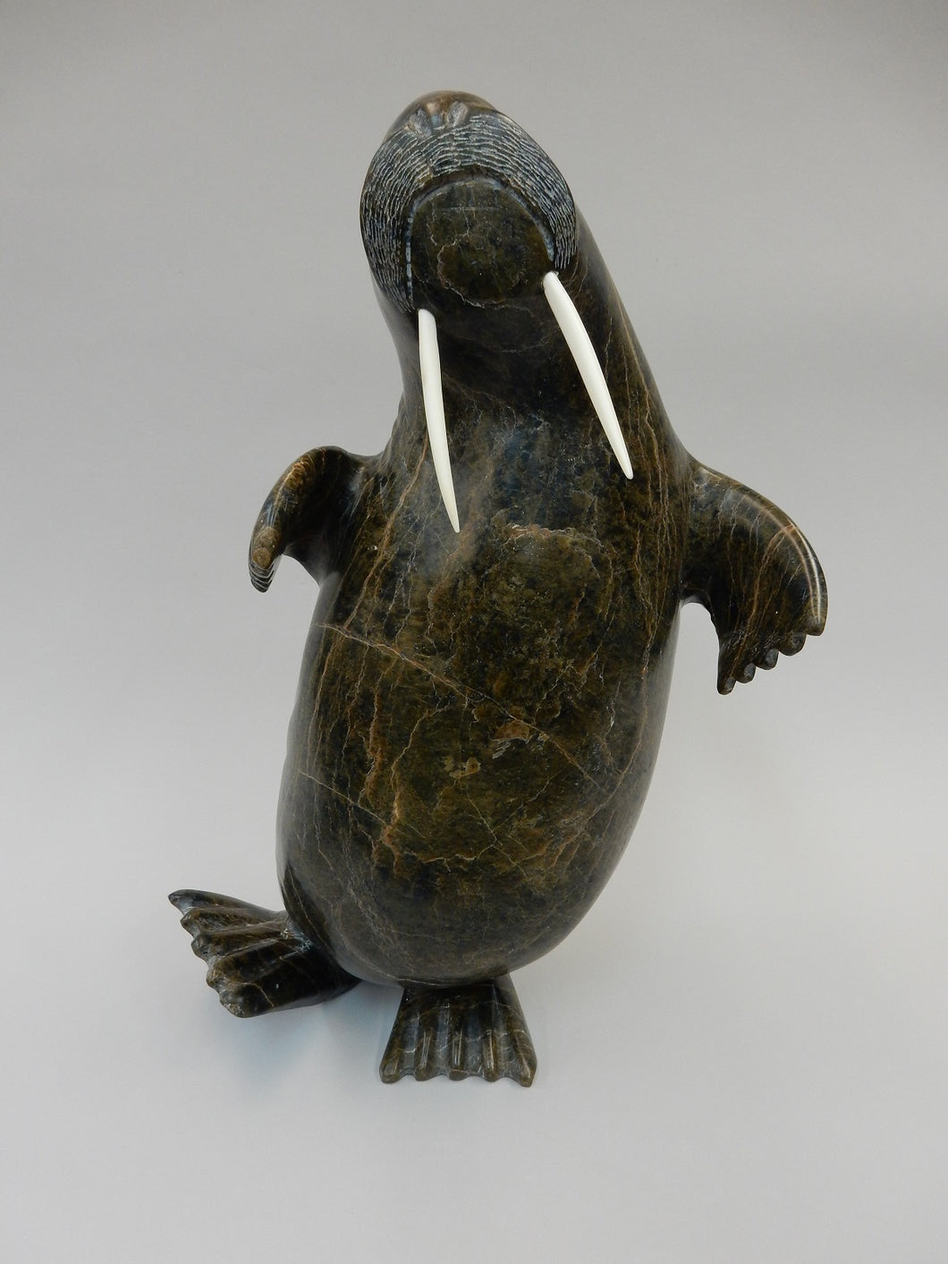 Walrus, Joannasie Petaloosie