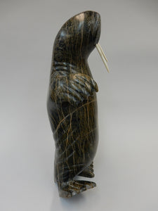 Walrus, Joannasie Petaloosie