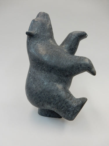Dancing Bear, Qavavau Shaa