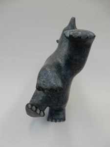 Dancing Bear, Qavavau Shaa