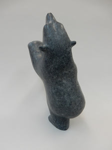 Dancing Bear, Qavavau Shaa