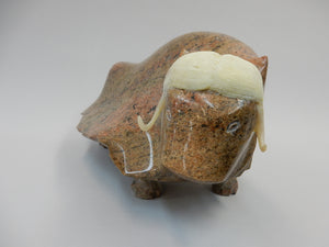 Musk Ox, Jerry Ell
