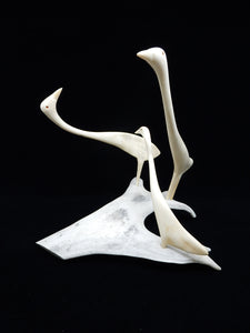 Three Geese, Victoria Mamnguqsualuk