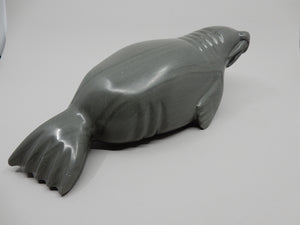 Walrus