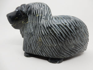 Muskox