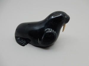 Walrus