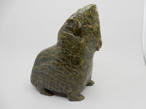 Musk Ox