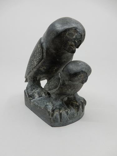 Owl and Young