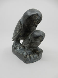 Owl and Young