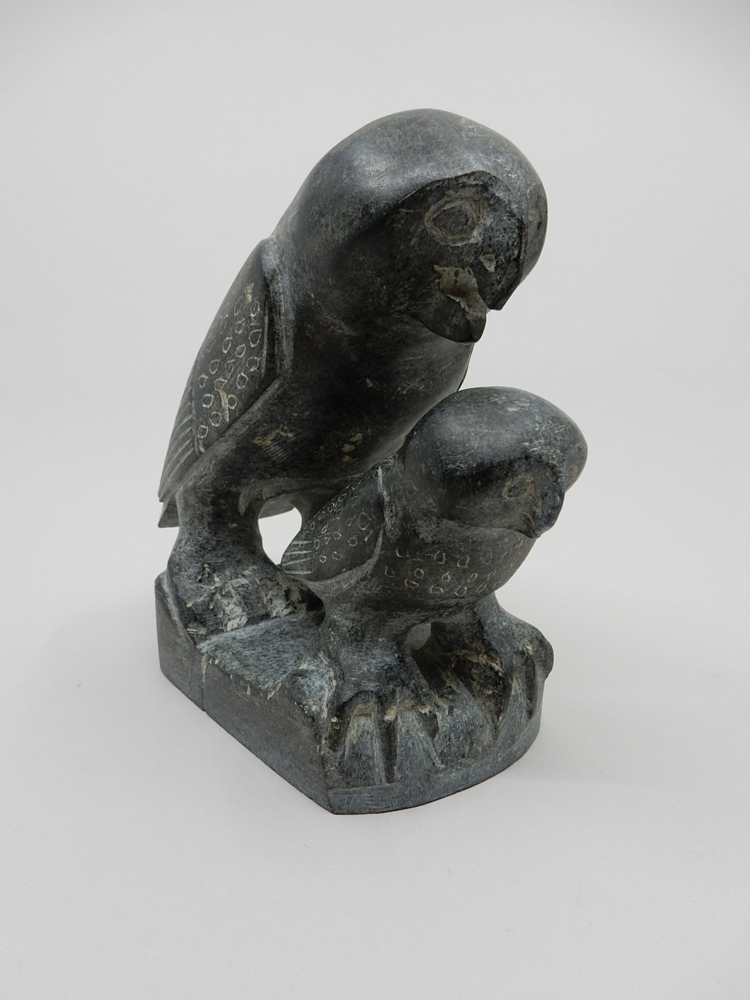 Owl and Young