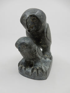 Owl and Young