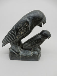 Owl and Young